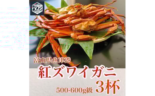 【冷蔵・ボイル済】魚卸問屋のベニズワイガニ 500～600g 3杯 セット【三人前】｜はりたや 魚貝類 魚介類 海鮮 蟹 カニ かに 紅ズワイガニ ずわい蟹 濃厚かにみそ 蟹しゃぶ 蟹飯 人気 豪華 お取り寄せ 北陸 富山県 富山湾 魚津市 送料無料 ※2025年9月下旬～2026年5月下旬頃に順次発送予定 ※北海道・沖縄・離島への配送不可