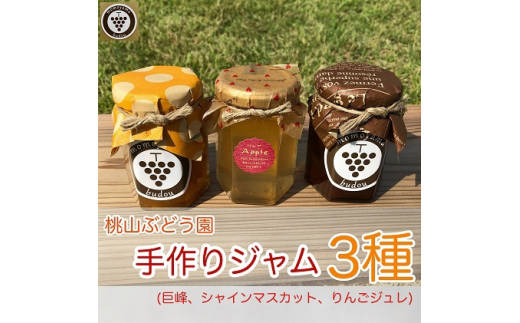 桃山ぶどう園の手作りくだものジャム3種（巨峰、シャインマスカット、りんごジュレ）　※北海道・沖縄・離島への配送不可　※2025年9月中旬頃より順次発送予定