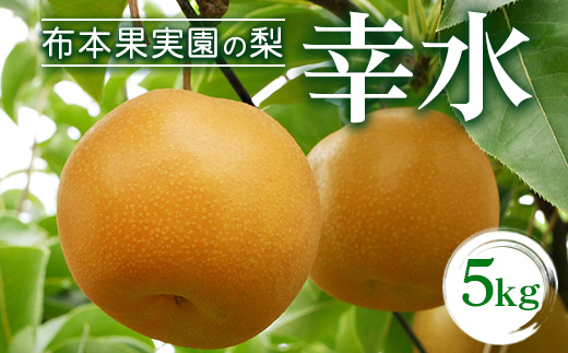 【早期予約】布本果実園の梨「幸水」5kg ※北海道・沖縄・離島への配送不可 ※2025年8月下旬頃より順次発送予定