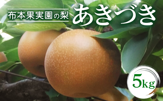 【早期予約】布本果実園の梨「あきづき」5kg※北海道・沖縄・離島への配送不可 ※2025年9月下旬頃より順次発送予定