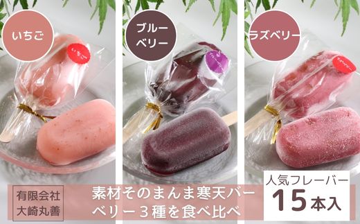 素材そのまんま寒天バー 人気のベリー3種を食べ比べ 15本入 ｜ お菓子 スイーツ 寒天 和菓子 生菓子 ※2025年6月上旬～9月上旬頃に順次発送予定 ※北海道・沖縄・離島への配送不可
