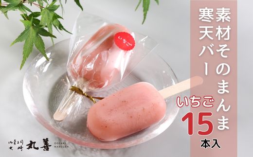 素材そのまんま寒天バー ストロベリー 15本入 ｜ お菓子 スイーツ 寒天 和菓子 生菓子 ※2025年6月上旬～9月上旬頃に順次発送予定 ※北海道・沖縄・離島への配送不可