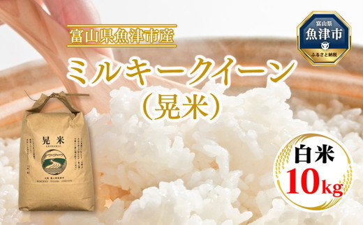 【令和7年度米】【農家直送】環境配慮「魚津のミルキークイーン（晃米）」10kg（白米） ｜ 新米 MK農産 白米 銘柄米 ブランド米 ご飯 おにぎり お弁当 和食 主食 国産 産地直送 甘み 香り もちもち ※北海道・沖縄・離島への配送不可