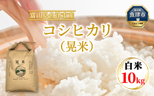 【令和7年度米】【先行予約】【農家直送】環境配慮「魚津のコシヒカリ（晃米）」10kg（白米） ｜ 新米 MK農産 白米 銘柄米 ブランド米 ご飯 おにぎり お弁当 和食 主食 国産 産地直送 甘み 香り もちもち ※2025年9月中旬頃より順次発送予定 ※北海道・沖縄・離島への配送不可