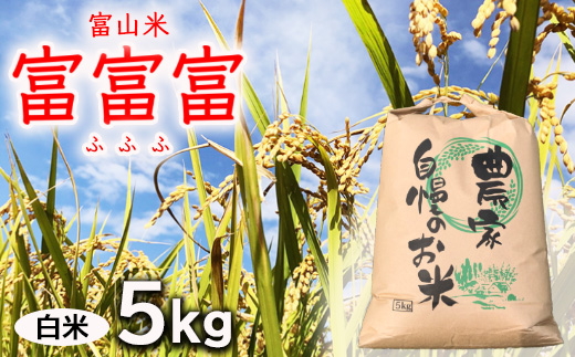 【令和7年度米】農家直送「 富富富 」5kg（白米）｜富山米 ふふふ　※北海道・沖縄・離島への配送不可