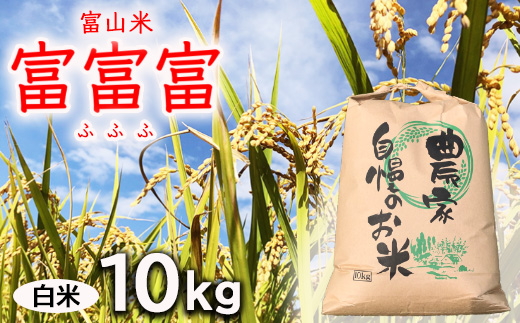 【令和7年度米】農家直送「 富富富 」10kg（白米）｜富山米 ふふふ　※北海道・沖縄・離島への配送不可