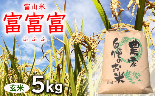 【令和7年度米】【先行予約】農家直送「 富富富 」5kg（玄米）｜富山米 ふふふ　※北海道・沖縄・離島への配送不可
