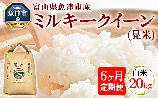 【6ヶ月定期便】【令和6年度米】「魚津のミルキークイーン（晃米）」20kg（白米） ｜新米 環境配慮 MK農産 お米 ブランド米 銘柄米 精米 ご飯 おにぎり 産地直送 甘み 粘り もちもち ※2024年10月下旬頃より順次発送予定 ※北海道・沖縄・離島への配送不可