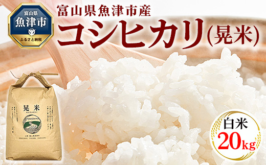 【令和7年度米】【先行予約】【農家直送】環境配慮「魚津のコシヒカリ（晃米）」20kg（白米） ｜新米 MK農産 白米 銘柄米 ブランド米 ご飯 おにぎり お弁当 和食 主食 国産 産地直送 甘み 香り もちもち ※2025年9月中旬頃より順次発送予定 ※北海道・沖縄・離島への配送不可