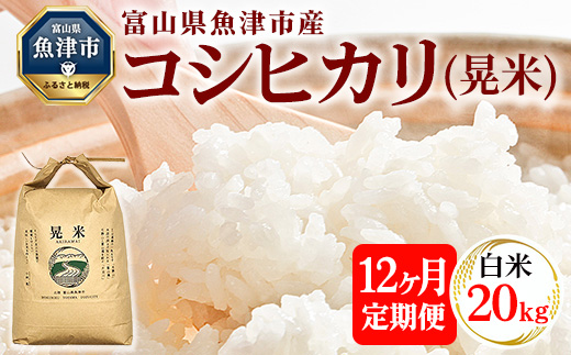 【12ヶ月定期便】【令和7年度米】【先行予約】【農家直送】環境配慮「魚津のコシヒカリ（晃米）」20kg（白米） ｜新米 環境配慮 MK農産 お米 ブランド米 銘柄米 精米 ご飯 おにぎり 産地直送 甘み 旨味 香り ※2025年9月中旬頃より順次発送予定 ※北海道・沖縄・離島への配送不可
