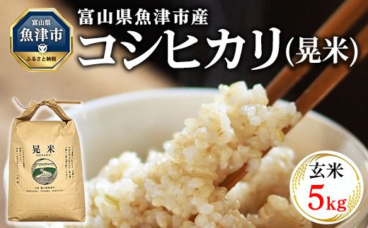 【令和7年度米】【先行予約】【農家直送】環境配慮「魚津のコシヒカリ（晃米）」5kg（玄米） ｜新米 MK農産 玄米 銘柄米 ブランド米 ご飯 おにぎり お弁当 和食 主食 国産 産地直送 甘み 香り もちもち ※2025年9月中旬頃より順次発送予定 ※北海道・沖縄・離島への配送不可