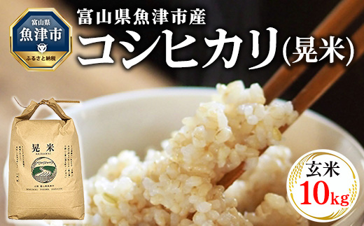 【令和7年度米】【先行予約】【農家直送】環境配慮「魚津のコシヒカリ（晃米）」10kg（玄米） ｜新米 MK農産 玄米 銘柄米 ブランド米 ご飯 おにぎり お弁当 和食 主食 国産 産地直送 甘み 香り もちもち ※2025年9月中旬頃より順次発送予定 ※北海道・沖縄・離島への配送不可