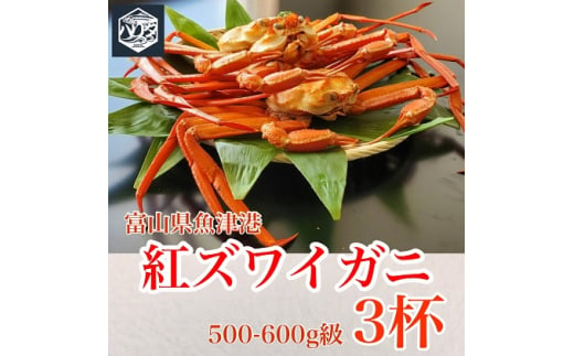 魚卸問屋のベニズワイガニ 500〜600g級×3杯 はりたや ※2023年10月上旬〜2024年5月下旬頃に順次発送予定 ※北海道・沖縄・離島への配送不可◇