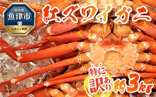 [特に訳あり]魚卸問屋のベニズワイガニ 約3kg ※2023年10月上旬〜2024年5月下旬頃に順次発送予定