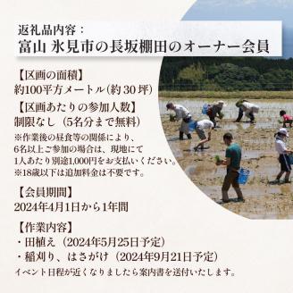 令和６年度 長坂棚田　オーナー会員（１区画）