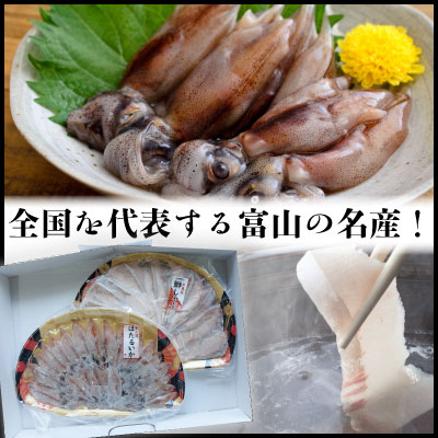 鮮度そのまま！『ぶり、ほたるいか』生冷凍セット