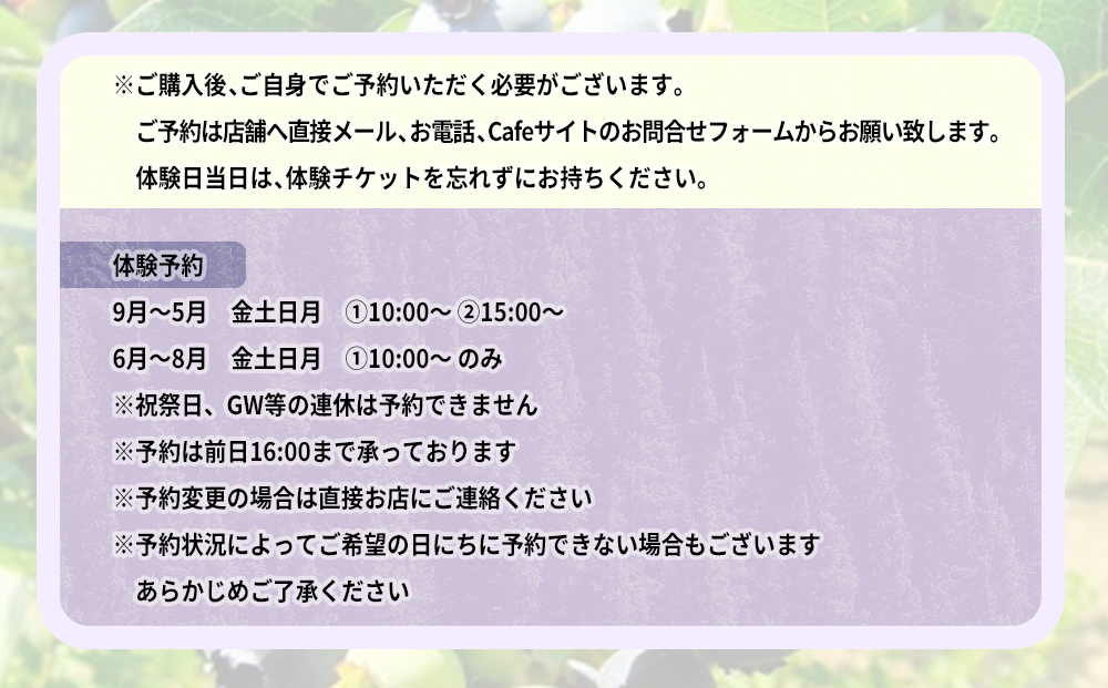 氷見市でブルーベリーのジャム作り体験２名様●ケーキと