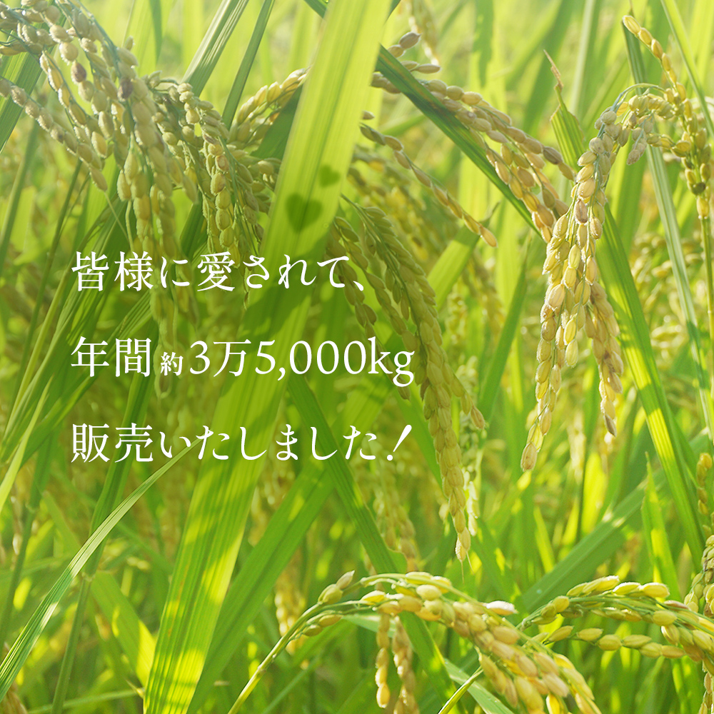 令和7年産 富山県産 コシヒカリ 《ひみ穂波》 5kg ＜2025年10