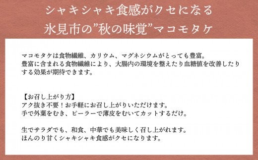 《秋限定》富山県氷見産マコモタケ約1kg