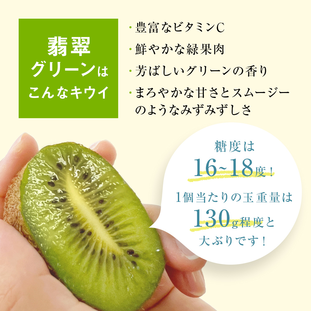 富山県産キウイ（翡翠グリーン）8個（1kg以上）ギフトボックス入り
