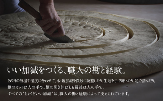 氷見うどん海津屋〈細麺・餅めん〉2種セット | 海津屋 氷見