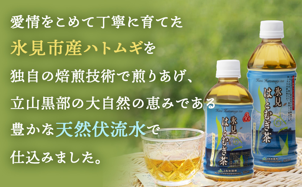 【隔月6回定期便】氷見はとむぎ茶 ペットボトル 500ml×24本 