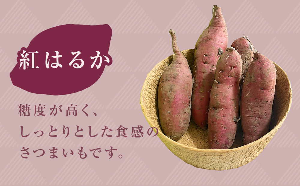 【先行予約】＜紅はるか＞富山県産 さつまいも 5kg 【2026年1
