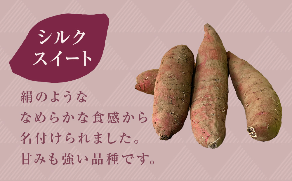 【先行予約】＜シルクスイート＞富山県産 さつまいも 5kg 