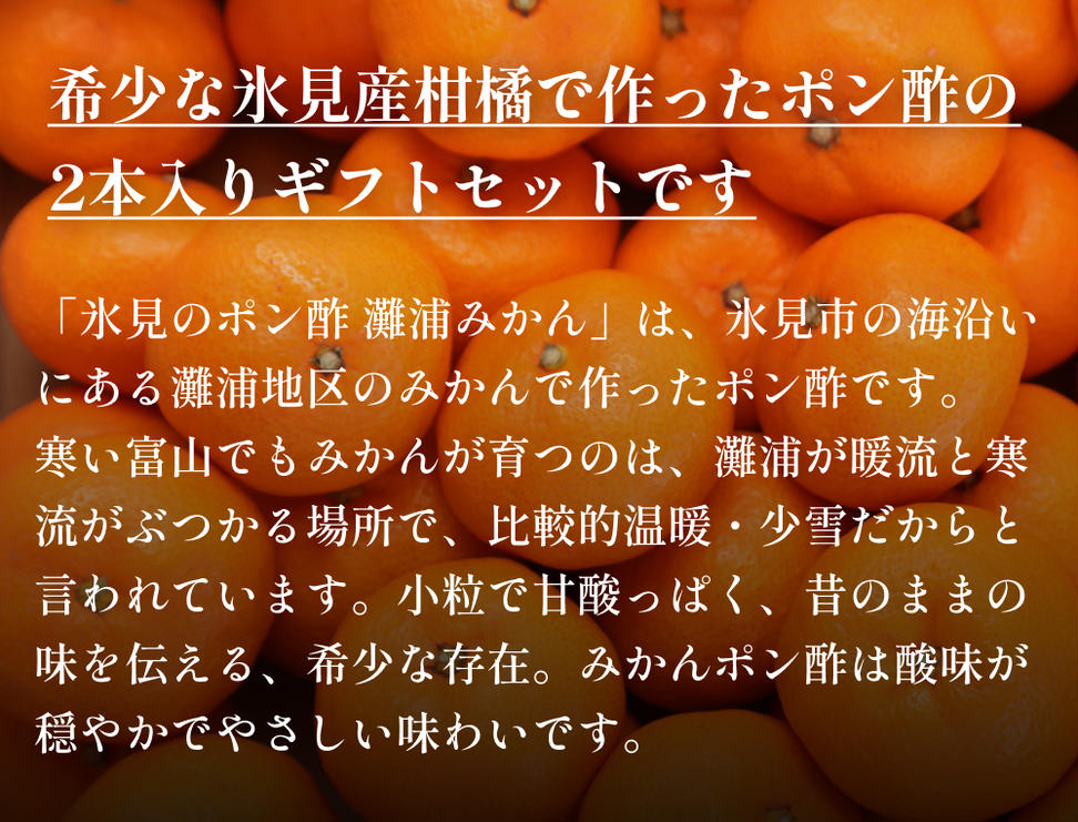 氷見のポン酢２本入りギフトセット 富山県 氷見市 ポン酢 