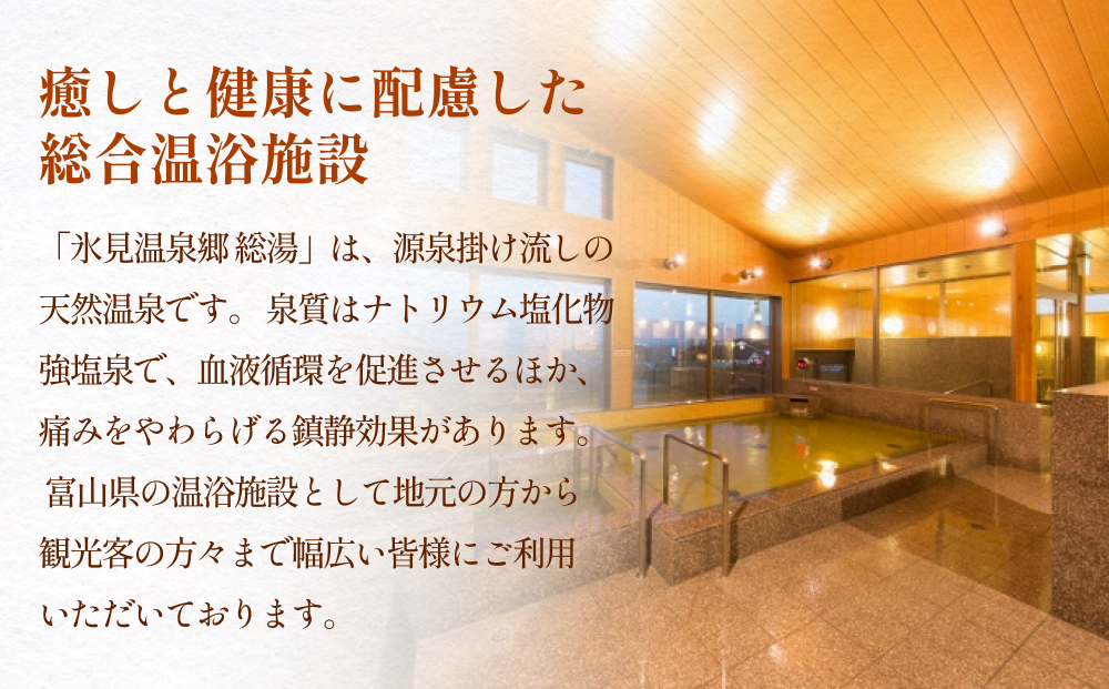 氷見温泉郷 総湯 回数券（大人12回分） 富山県 氷見市 温泉 