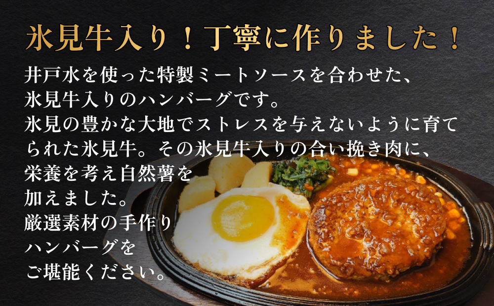 ひみハンバーグ 15個 ソース付き | ミートソース 氷見牛 ブ