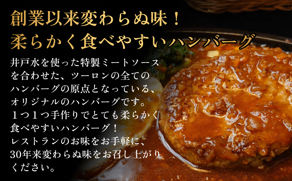 ソフトハンバーグ 15個 ｜ ソース付き ミートソース 柔らか 