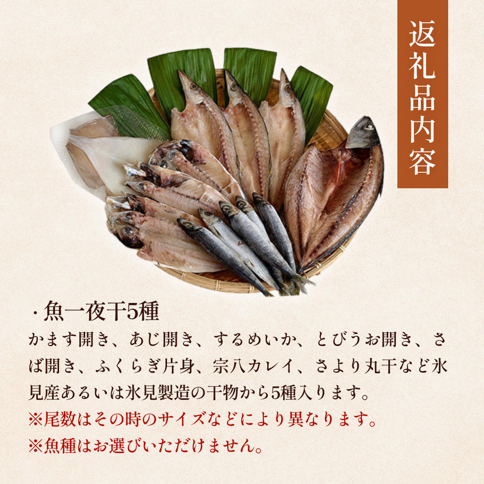 氷見 堀与 おすすめ一夜干5種セット