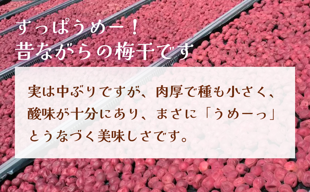 うめーっ！氷見稲積梅　梅干し1kg 富山県 氷見市 梅干 1キロ
