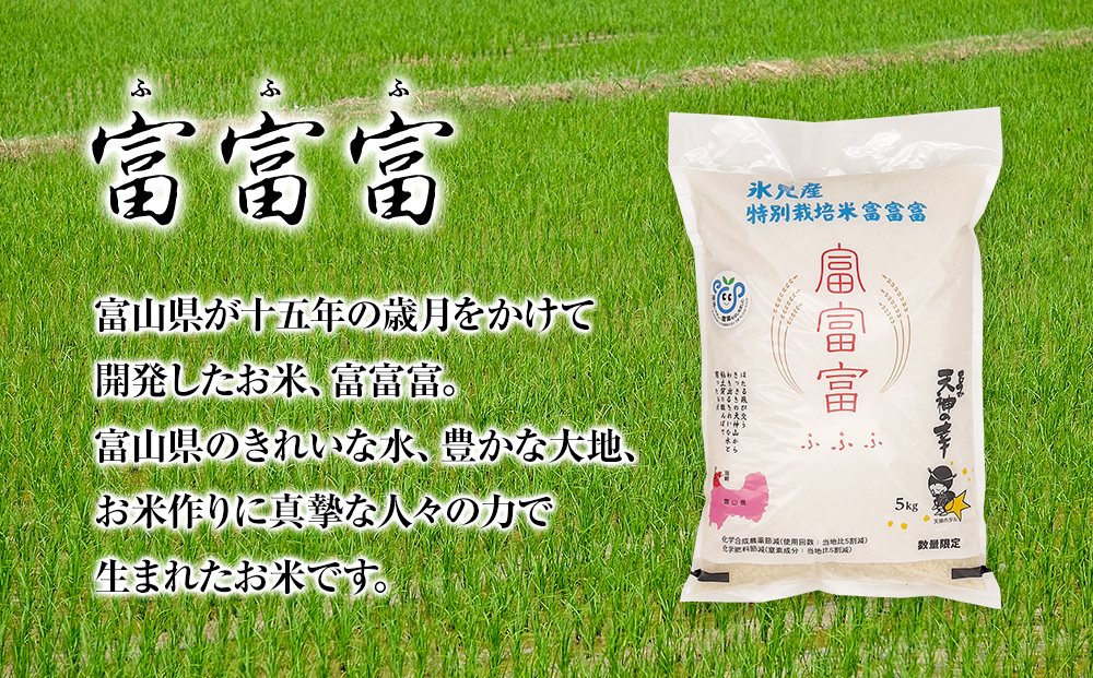 〈3ヶ月定期便〉令和7年産 富山県産特別栽培米 富富富５kg 
