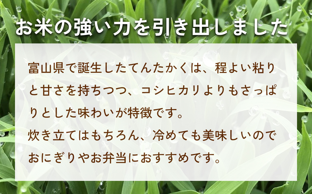 令和7年産 富山県氷見産 てんたかく無洗米 10kg  富山県 氷