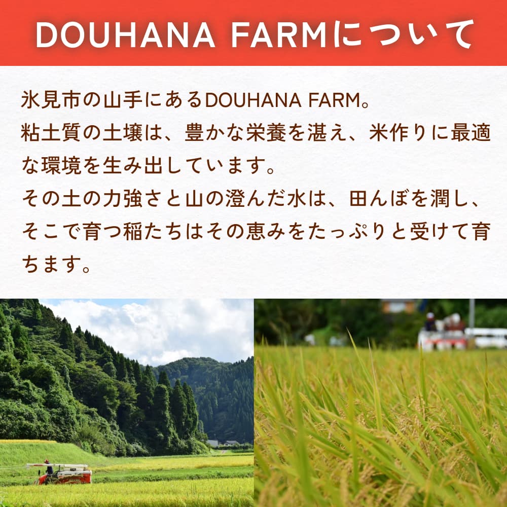令和7年産 富山県氷見産 コシヒカリ 無洗米 5kg ＜2025年10月
