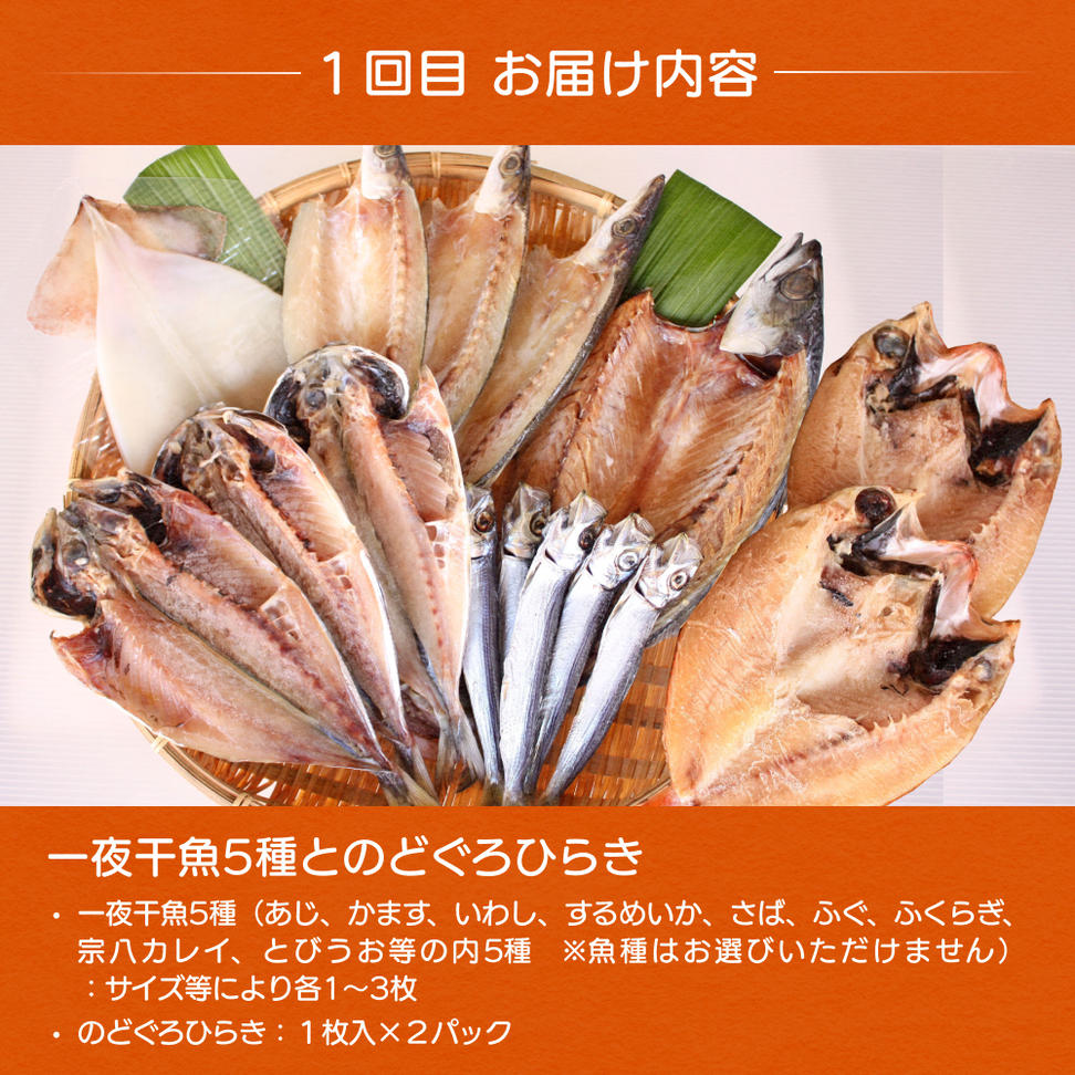 【3ヶ月連続お届け】氷見堀与 一夜干・昆布〆刺身・海の幸