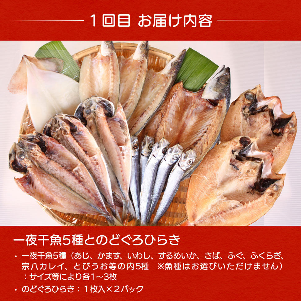 【４ヶ月隔月お届け】氷見堀与 一夜干・昆布〆刺身・海の