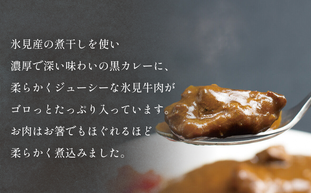 氷見牛カレー（レトルト） １箱 富山県 氷見市 カレー 湯煎