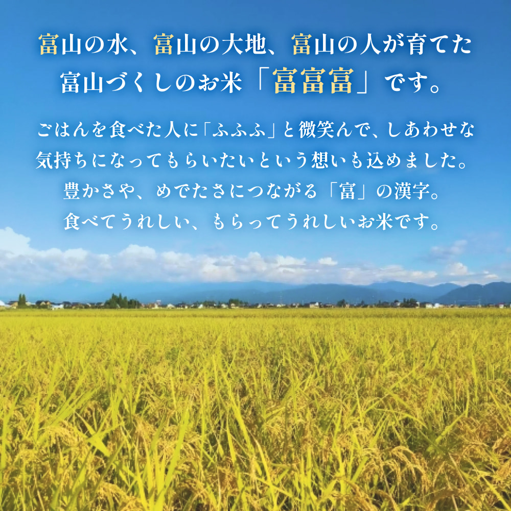 令和7年 富山県産富富富4kg（2kg×2袋）＜2025年10月上旬以降順