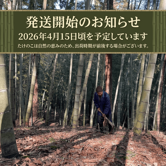 〈先行予約〉富山県産 旬の 天然 タケノコ 2kg 朝掘り 採れ