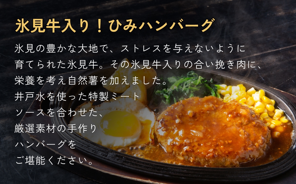 ひみハンバーグと煮干し粉のセット 富山県 氷見市 煮干 惣