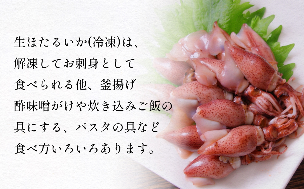 生ほたるいか冷凍5袋セット 富山県 氷見市 ホタルイカ 冷凍