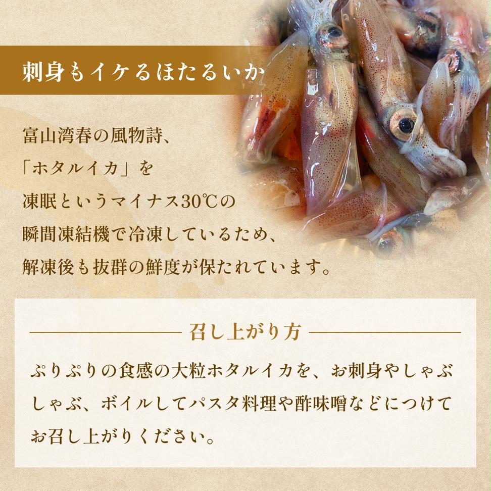 生冷凍ホタルイカ（凍眠） 300g 富山県 氷見市 ほたるいか 