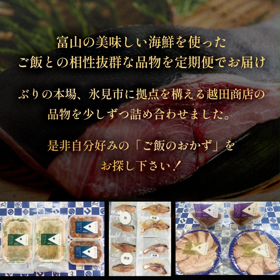 ＜3回定期便＞ご飯のお供定期便 富山県 氷見市 白エビぶり 