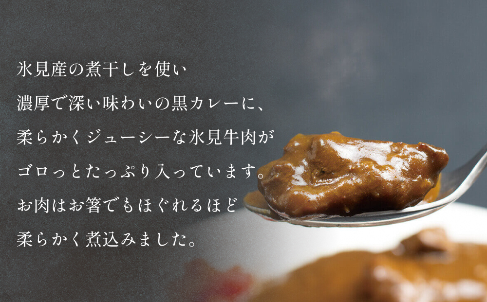 氷見牛カレー（レトルト） 5箱 富山県 氷見市 カレー 湯煎 