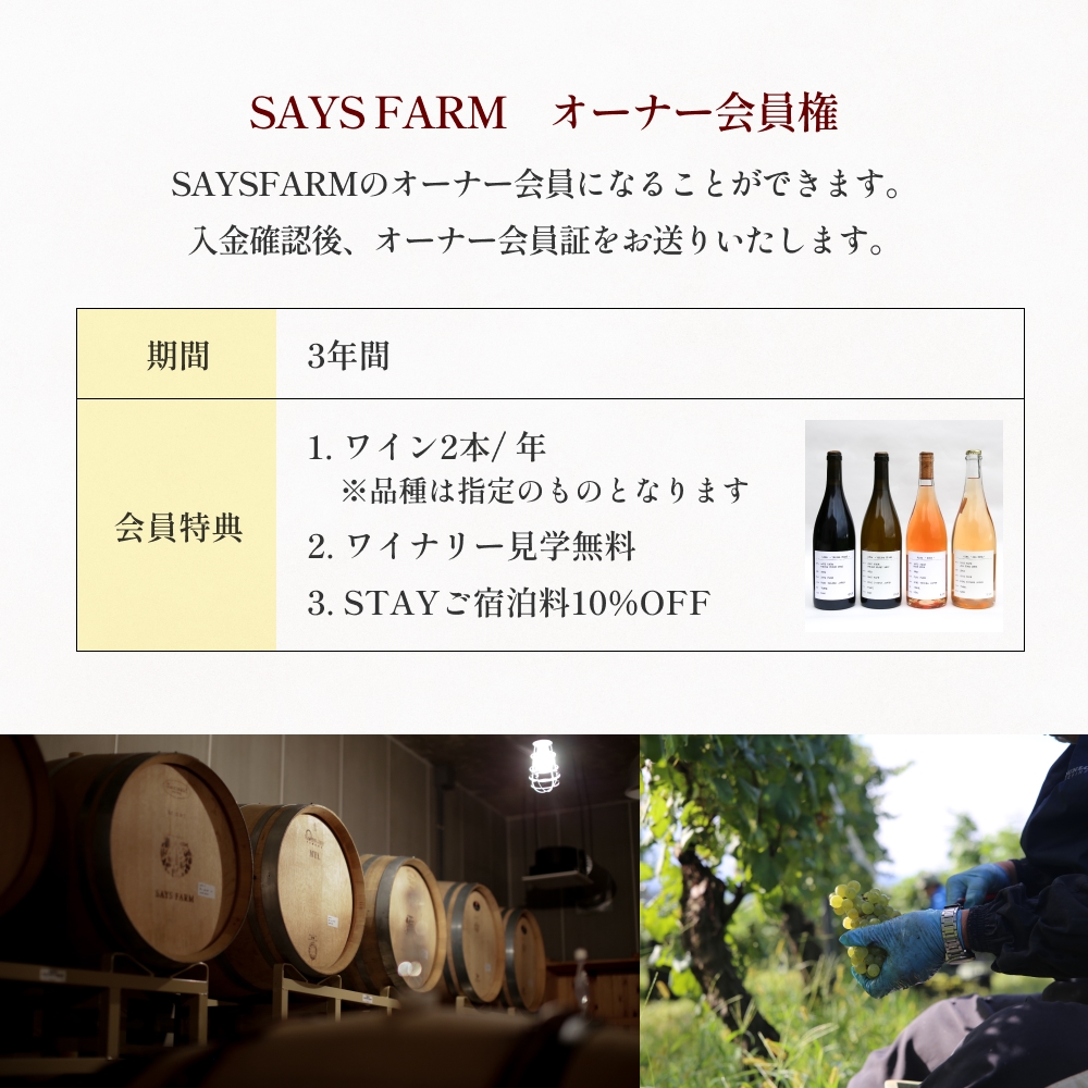 ＜先行予約＞SAYSFARM オーナークラブ会員 富山県 氷見市 ワ