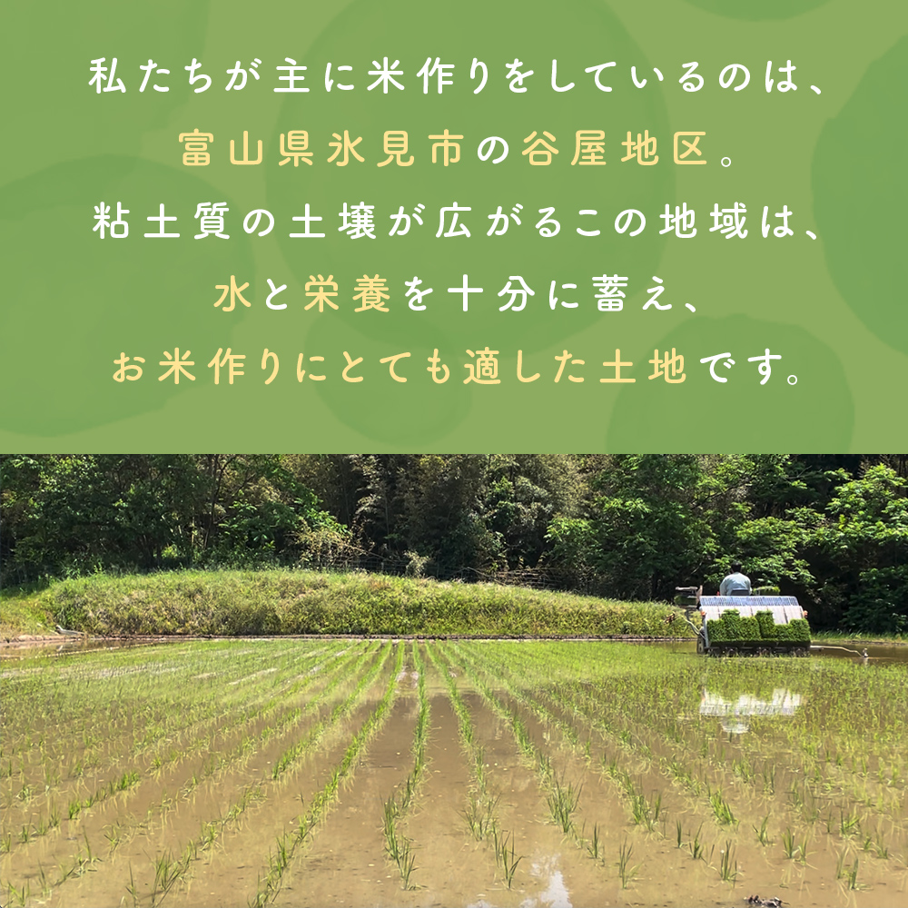 コシヒカリ 玄米 5kg 富山県氷見産 ＜2025年10月以降発送＞ 富