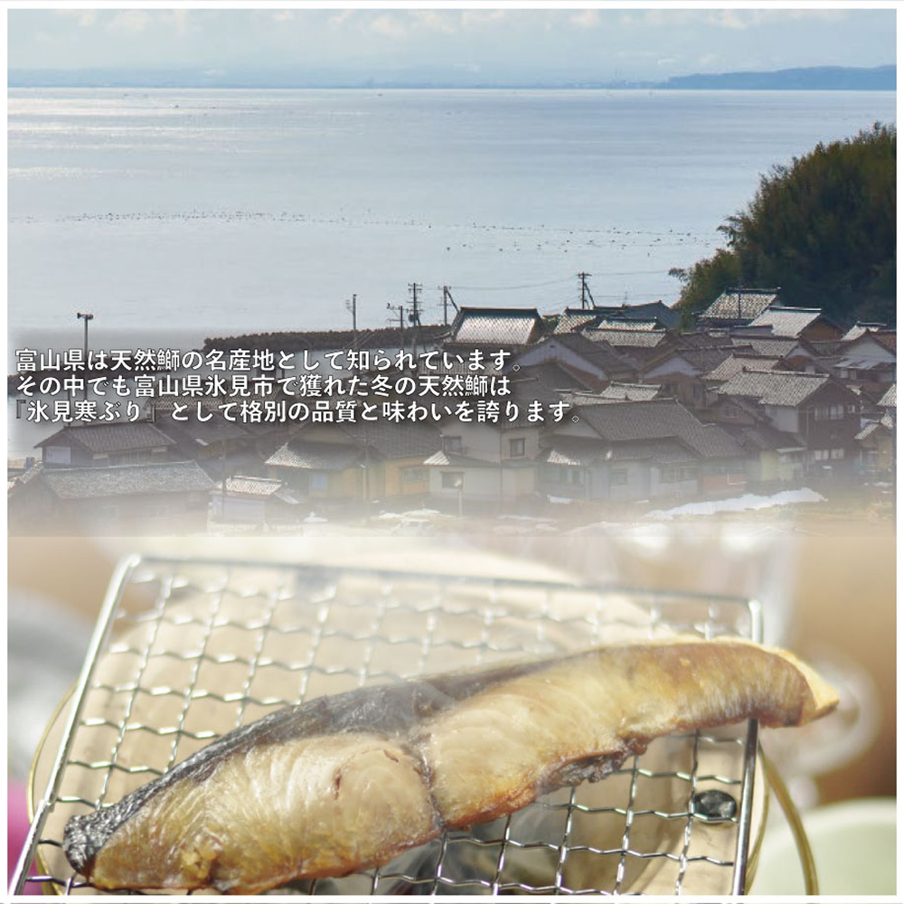 【氷見の天然寒ぶり】冬の味覚限定セット ＜2025年12月中旬